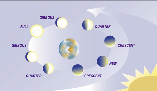 Lunar Cycle